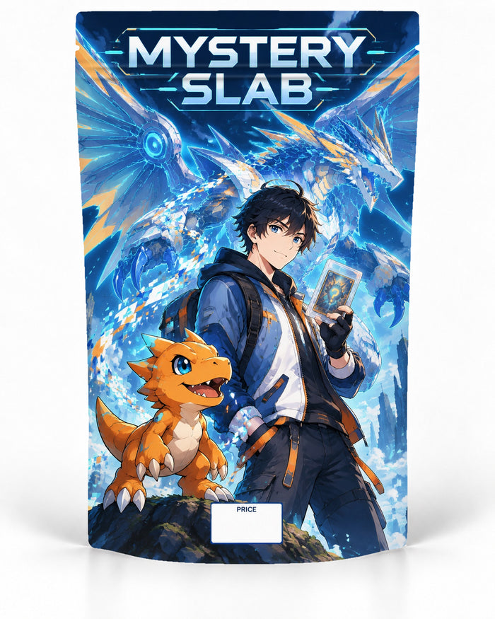 Blue Dragon Trainer direct-printed Mystery Slab bag for TCG graded-card packaging