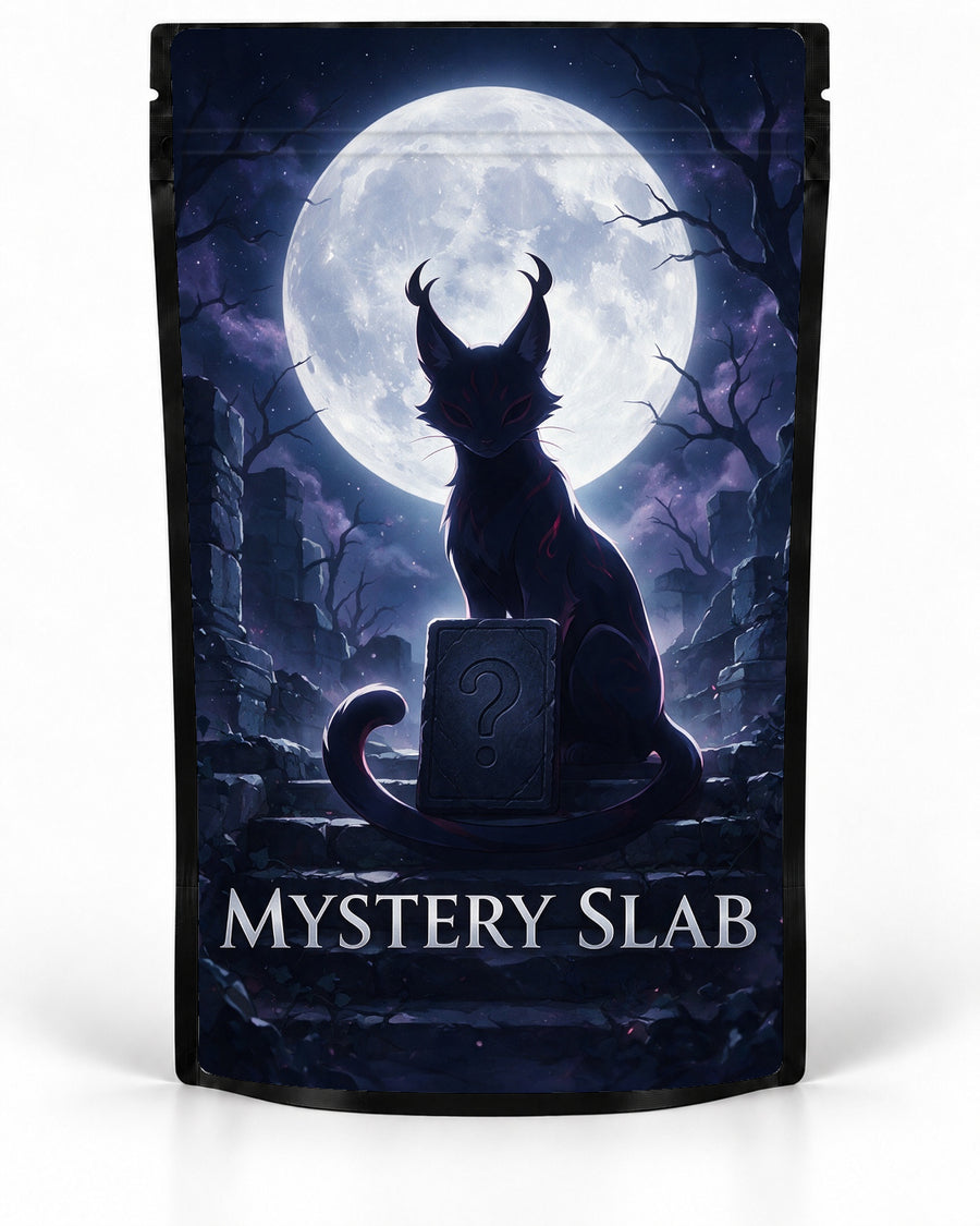 Moonlit Cat 2 labelled Mystery Slab bag for TCG graded-card packaging