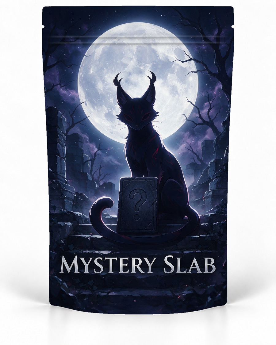 Moonlit Cat 2 direct-printed Mystery Slab bag for TCG graded-card packaging