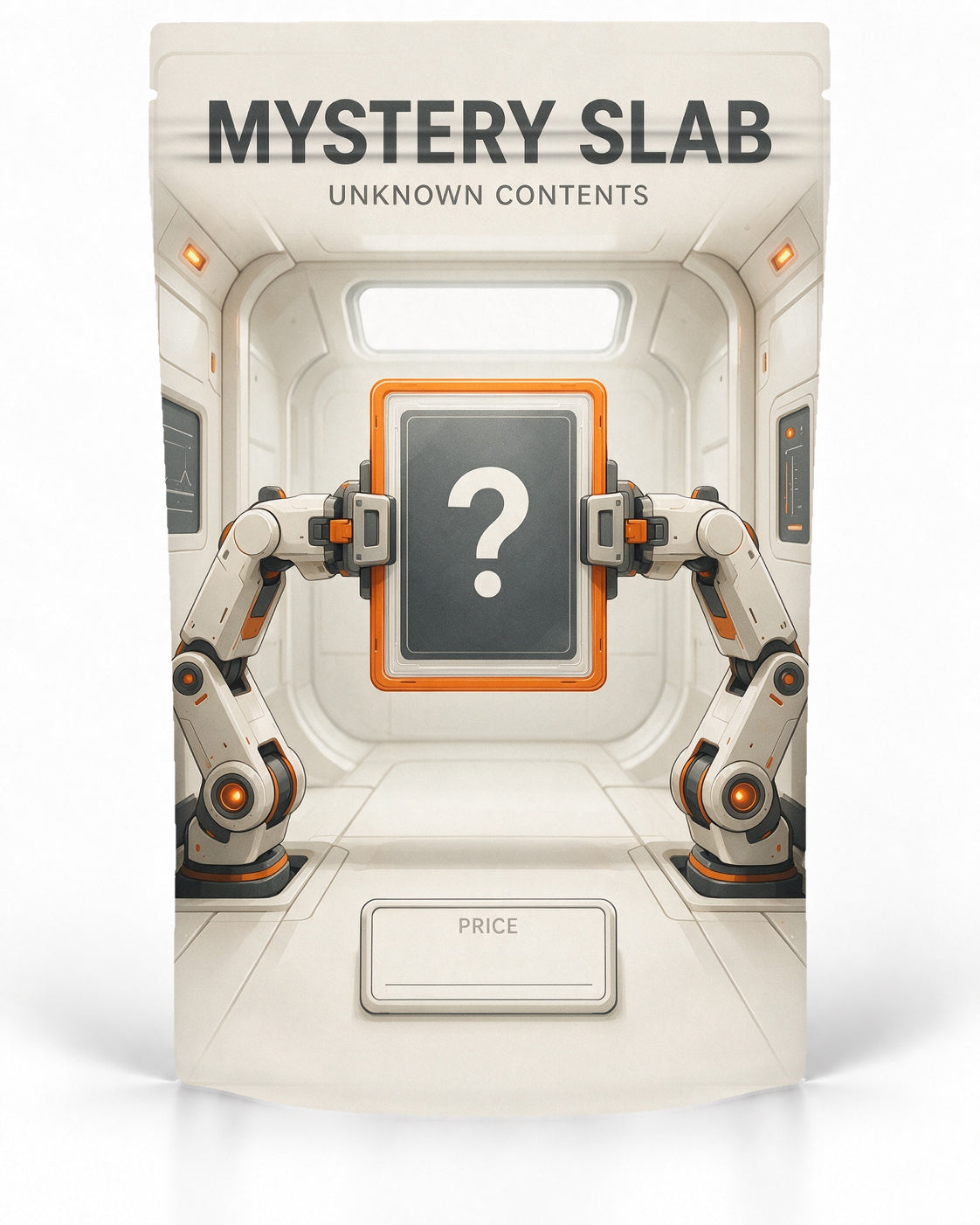 Robot Lab – Direct-Printed mystery slab bag mockup by POP 1 Prints